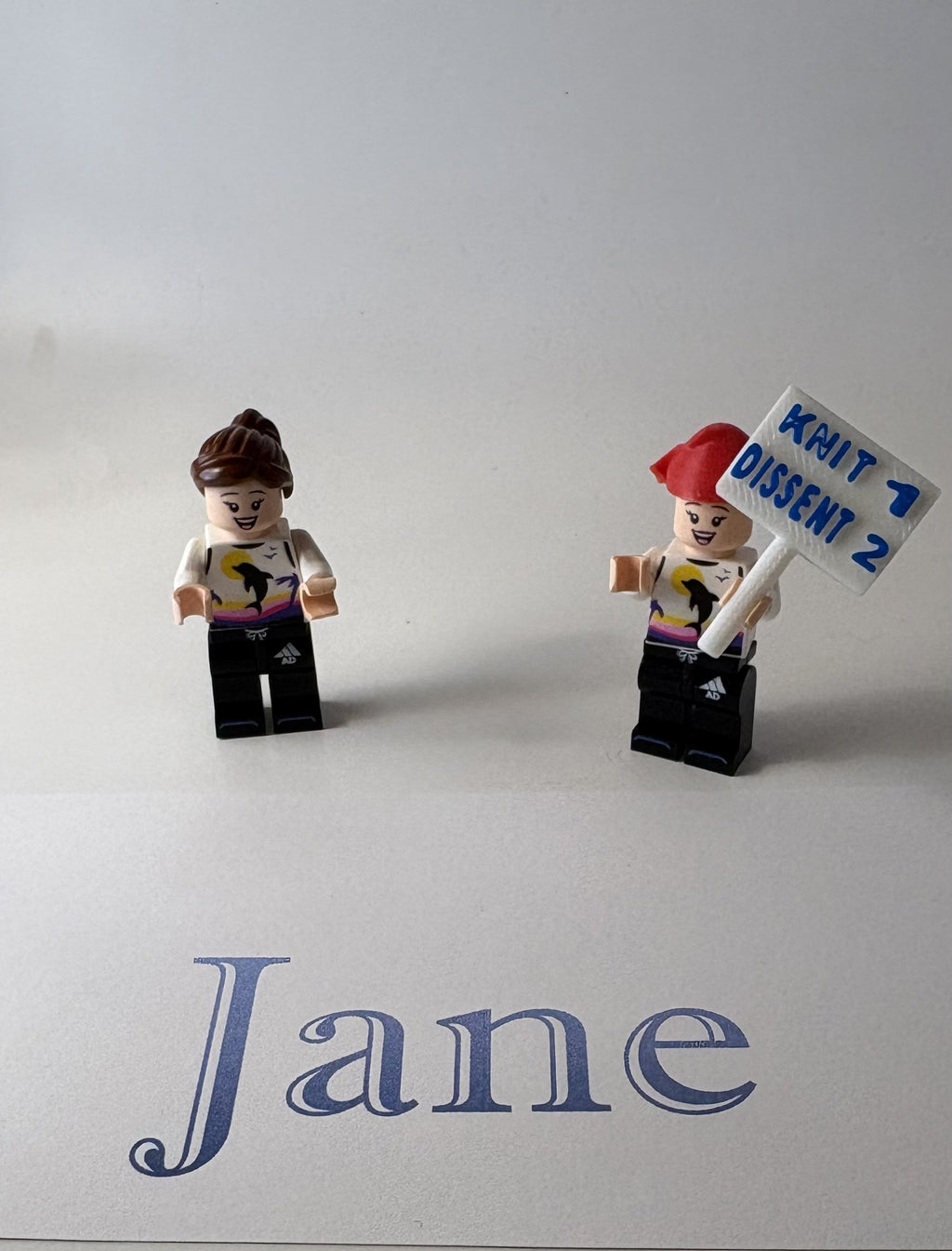 Mini Protest Figures
