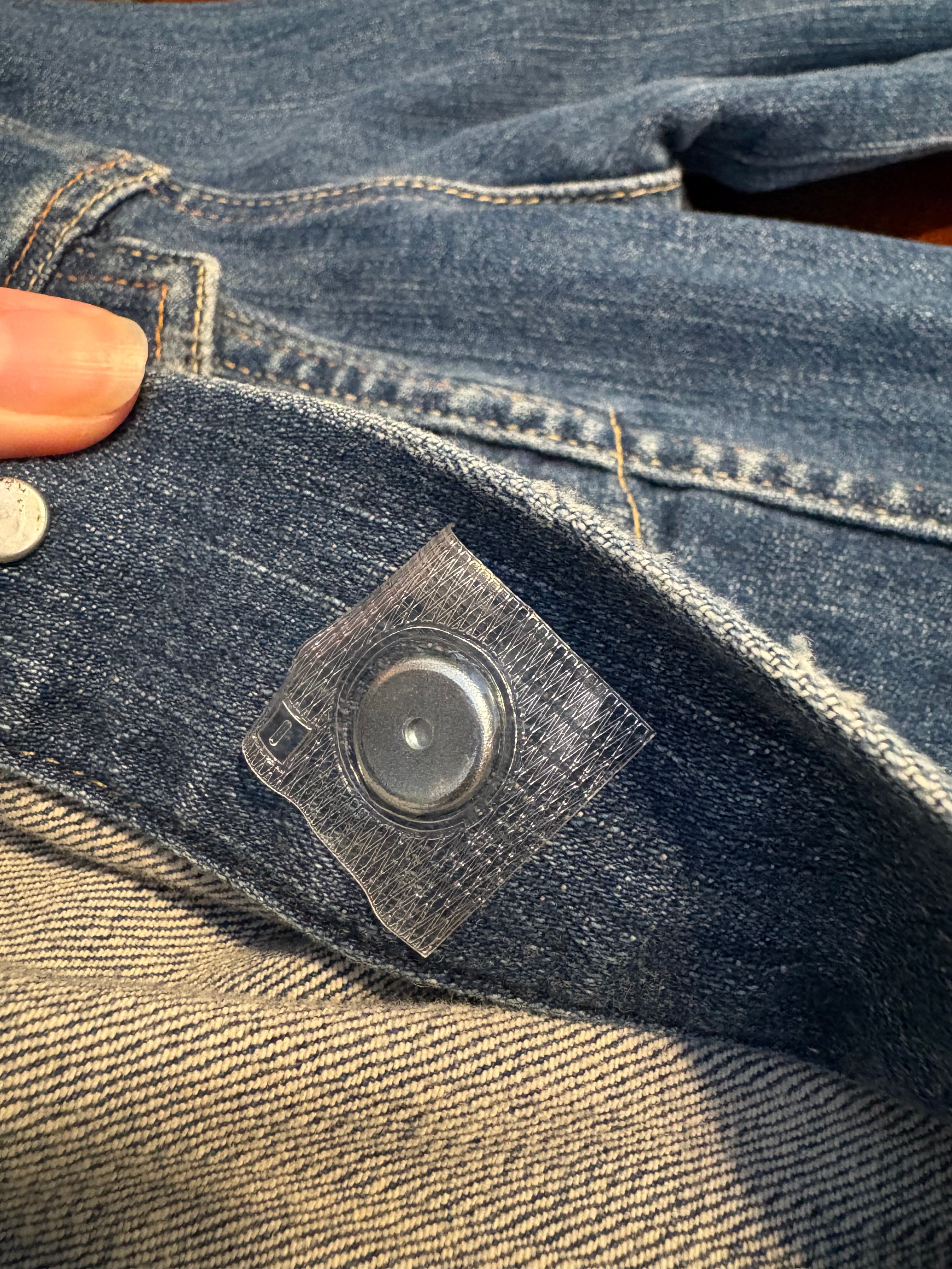 Protest Pets-Wearable Magnet Button